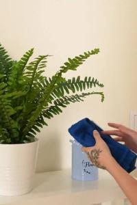 KarupsPC 21 12 18 Queenlin Dildo Hiding Place XXX 1080p HEVC x265 PRT XvX