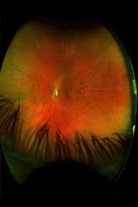 Greg Puciato Mirrorcell 2022 24 Bit Hi Res FLAC PMEDIA