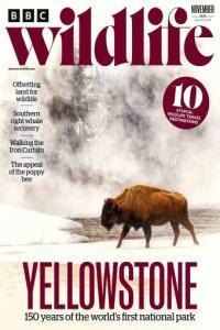 BBC Wildlife November 2022 CourseWikia