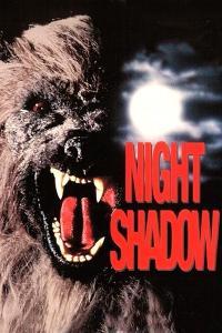 Night Shadow 1989 DVDRip 600MB h264 MP4 Zoetrope TGx