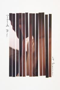 acoustic folk 2021 Lowland Hum At Home FLAC DarkAngie