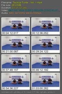 BJJ Fanatics Tactical Turtle CourseWikia