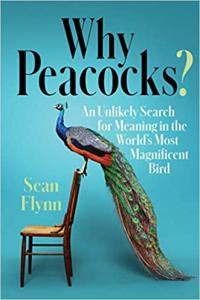 Why Peacocks An Unlikely Search for Meaning in the World s Most Magnificent Bird by Sean Flynn