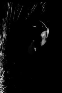 Rolando Where Were You 2022 Mp3 320kbps PMEDIA