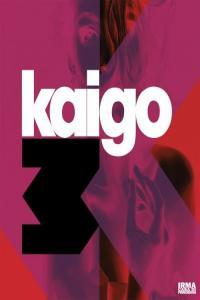 Kaigo K 3 2022 24Bit 44 1kHz FLAC PMEDIA