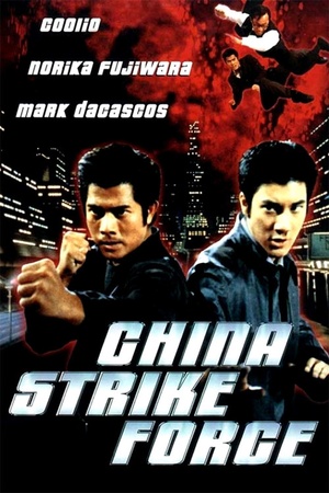 China Strike Force 2000 1080p bluray YTS