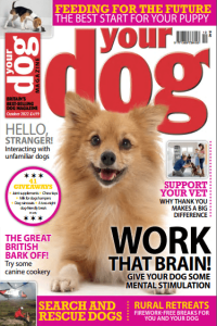 Your Dog Magazine October 2022 CourseWikia