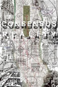 Consensus Reality 2018 720p web YTS