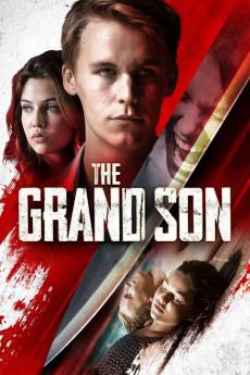 The Grand Son 2018 720p web YTS