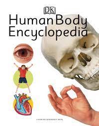 Human Body Encyclopedia Penny Smith Mantesh
