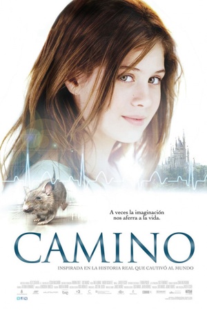 Camino 2008 1080p bluray YTS