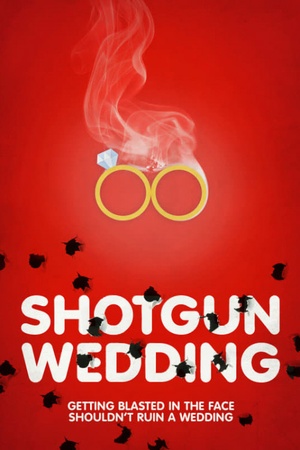 Shotgun Wedding 2013 1080p web YTS
