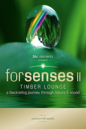 Forsenses II: Timber Lounge 2011 1080p bluray YTS