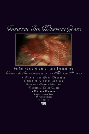 Through the Weeping Glass: On the Consolations of Life Everlasting 2011 1080p bluray YTS