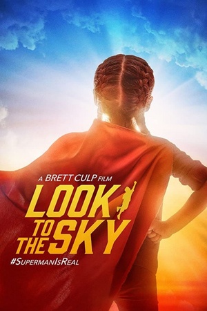 Look to the Sky 2017 1080p web YTS