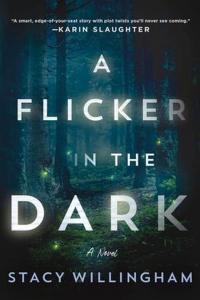 A Flicker in the Dark by Stacy Willingham EPUB TGx