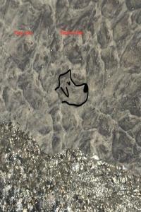 Young Jesus Shepherd Head 2022 Mp3 320kbps PMEDIA