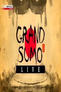 NHK Grand Sumo Live November 2020 720p HDTV x265 AAC MVGroup Forum mkv