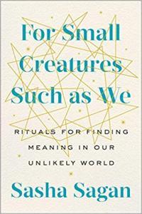 For Small Creatures Such as We by Sasha Sagan EPUB