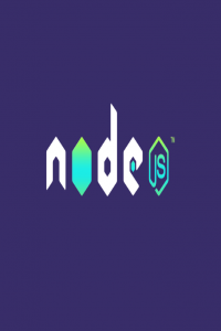 Code With Mosh The Complete Node js Course FCO
