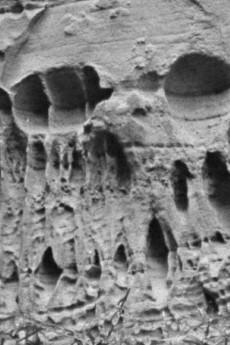 Ghost Strata 2019 720p bluray YTS