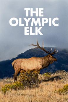 The Olympic Elk 1952 720p web YTS