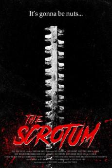 The Scrotum 2019 720p web YTS