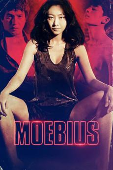 Moebius 2013 720p bluray YTS