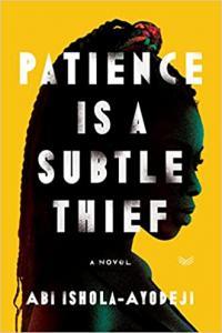 Patience Is a Subtle Thief by Abi Ishola Ayodeji EPUB