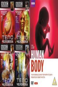 BBC The Human Body 2of8 An Everyday Miracle x264 AC3 MVGroup org mkv