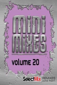 VA Select Mix Mini Mixes volume 20 2022 Mp3 320kbps PMEDIA