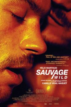 Sauvage / Wild 2018 720p bluray YTS