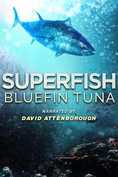 Superfish Bluefin Tuna 2012 720p web YTS