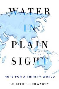 Water in Plain Sight Hope for a Thirsty World by Judith D Schwartz EPUB