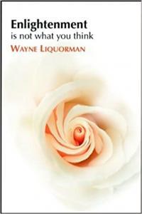 Enlightenment Is Not What You Think by Wayne Liquorman EPUB