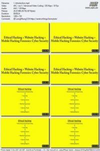 Ethical Hacking Website Hacking Mobile Hacking v2 0 FreeCourseWeb