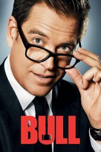 Bull 2016 S06E22 WEB x264 TORRENTGALAXY