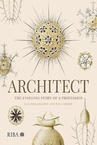 Architect The evolving story of a profession FreeCourseWeb