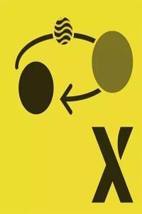 State Machines in JavaScript with XState v2