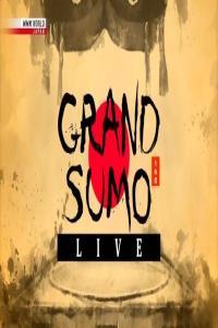 NHK Grand Sumo Live March 2023 720p HDTV x265 AAC MVGroup Forum mkv