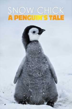 Snow Chick: A Penguin's Tale 2015 1080p bluray YTS