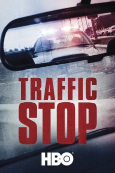 Traffic Stop 2017 720p web YTS