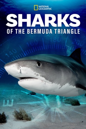 Sharks of the Bermuda Triangle 2020 1080p web YTS