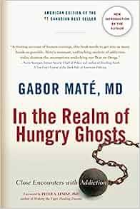 In the Realm of Hungry Ghosts by Gabor Maté EPUB