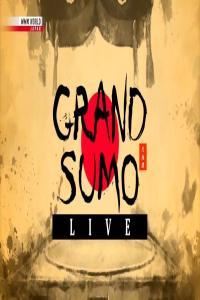 NHK Grand Sumo Live May 2023 720p HDTV x265 AAC MVGroup Forum mkv