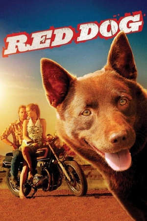 Red Dog 2011 1080p bluray YTS
