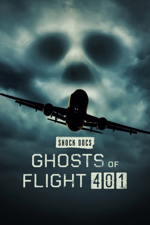 Shock Docs Ghosts of Flight 401 2022 1080p web YTS