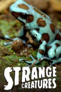 Strange Creatures S01 COMPLETE WEBRip AAC2 0 x264 CAFFEiNE TGx