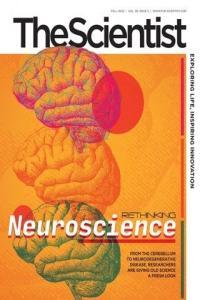 The Scientist Fall 2022 CourseWikia