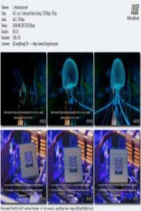 Machine Learning an introduction and deep learning with quiz DevCourseWeb